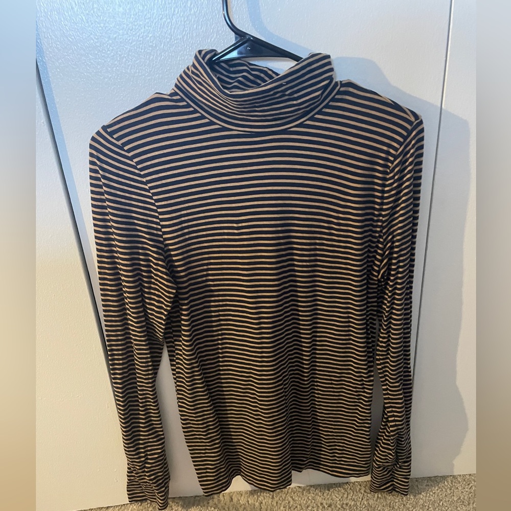 Jcrew striped turtleneck